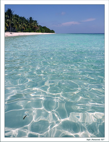 2011 - 08 - Borneo - Mataking 61